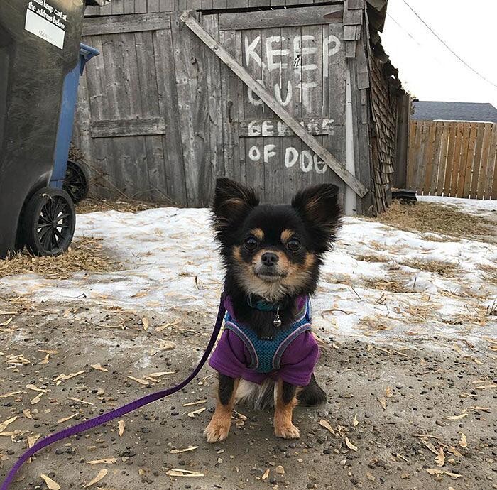 image-20221003123757-8