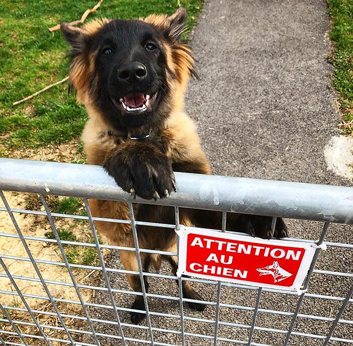 image-20221003123817-11