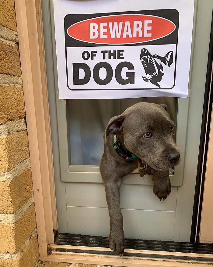 image-20221003123820-12