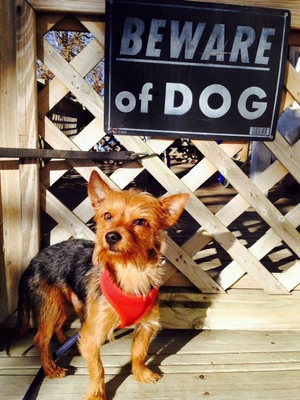 image-20221003123826-14