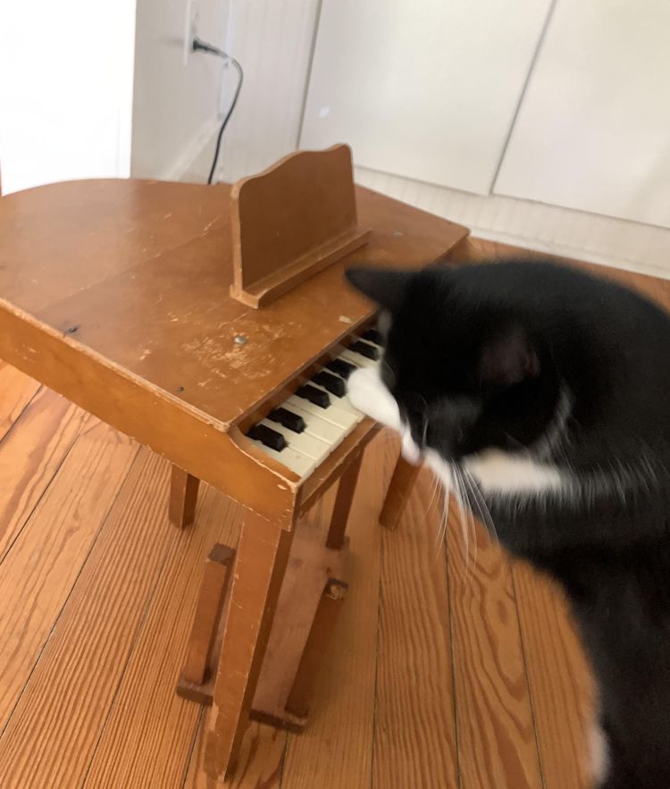 image-20221003163504-12