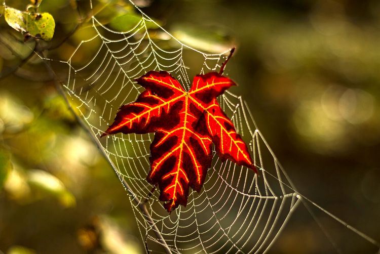 image-20221004130346-7