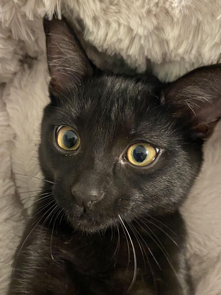 image-20221004130455-17