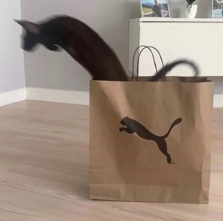 image-20221006123100-15