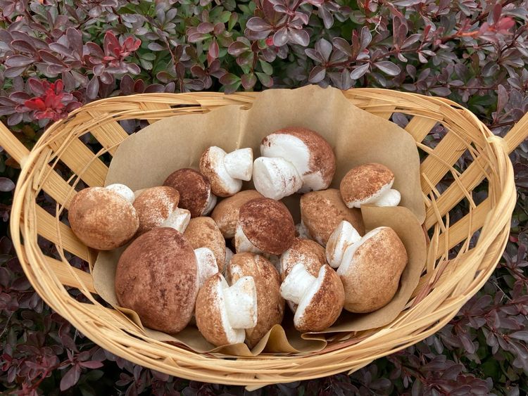 image-20221006171139-10