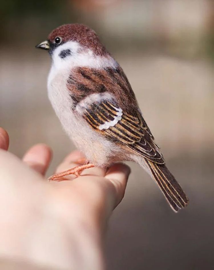 image-20221006171202-16