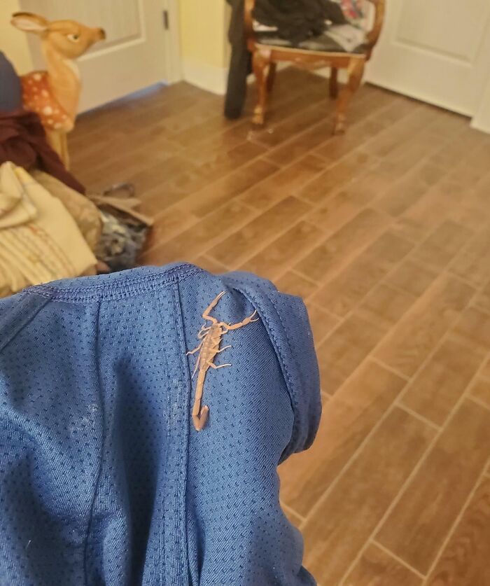 image-20221007130432-16