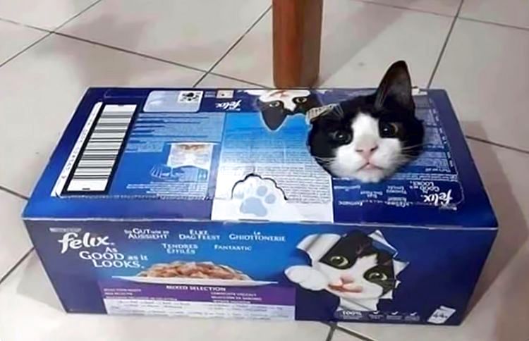 image-20221011125907-17