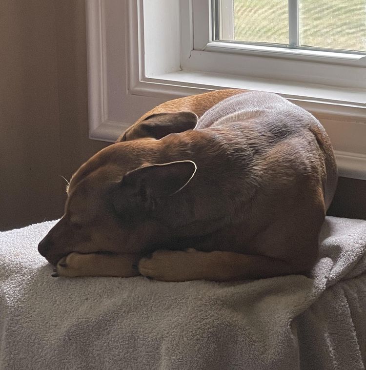 image-20221011154546-2