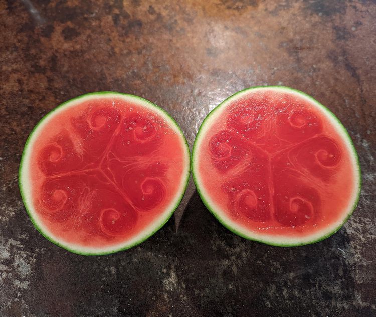 image-20221011154552-4