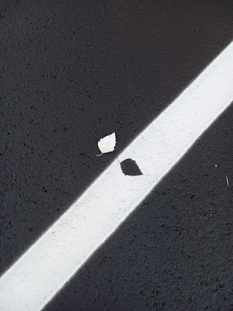 image-20221011154605-8