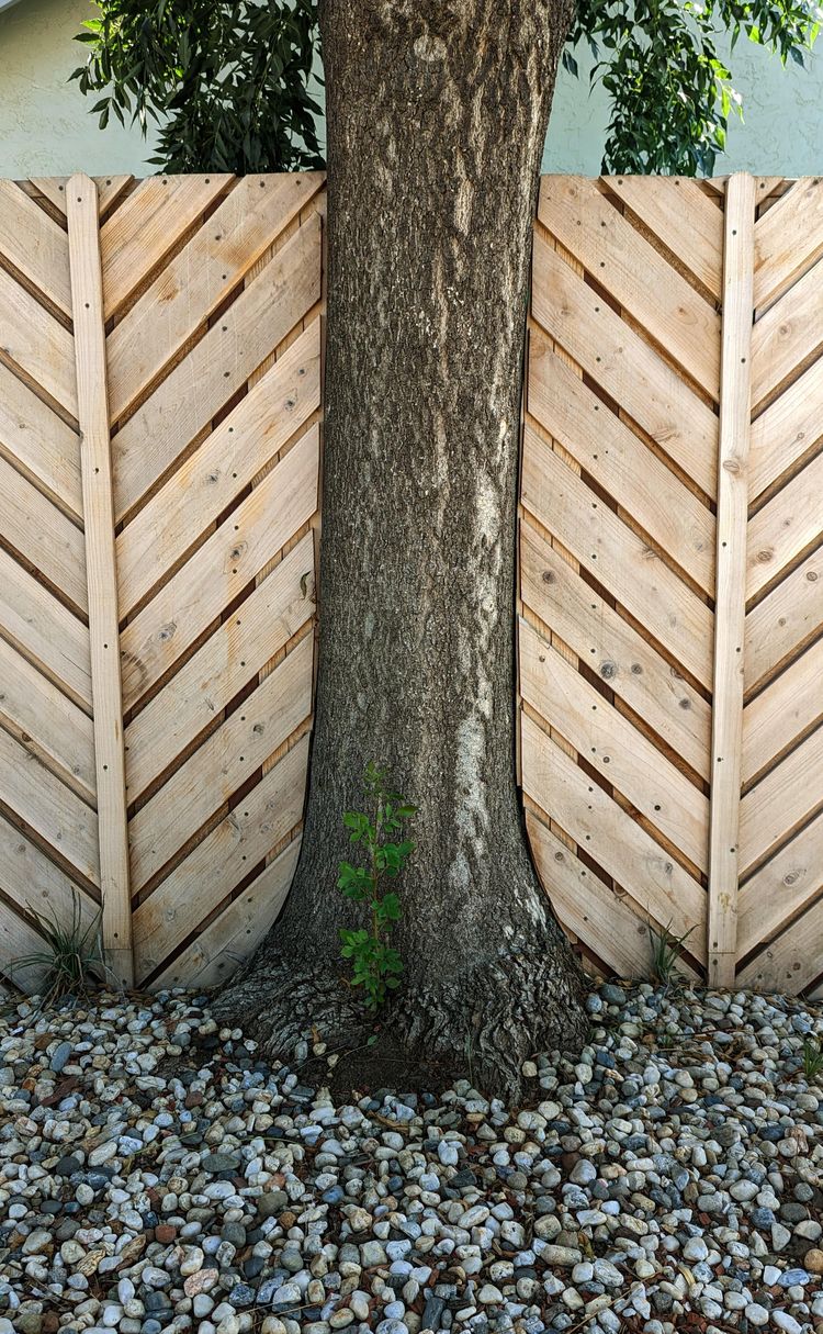 image-20221011154614-11