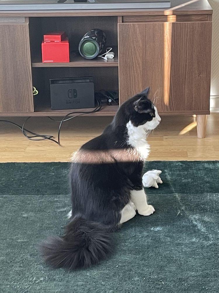 image-20221011154625-14