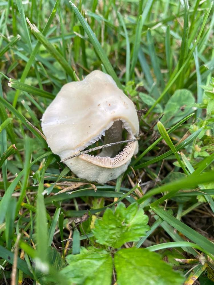 image-20221012152307-1