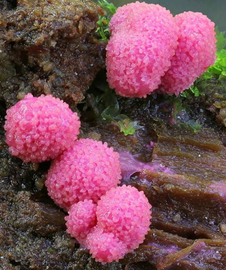 image-20221012152328-5