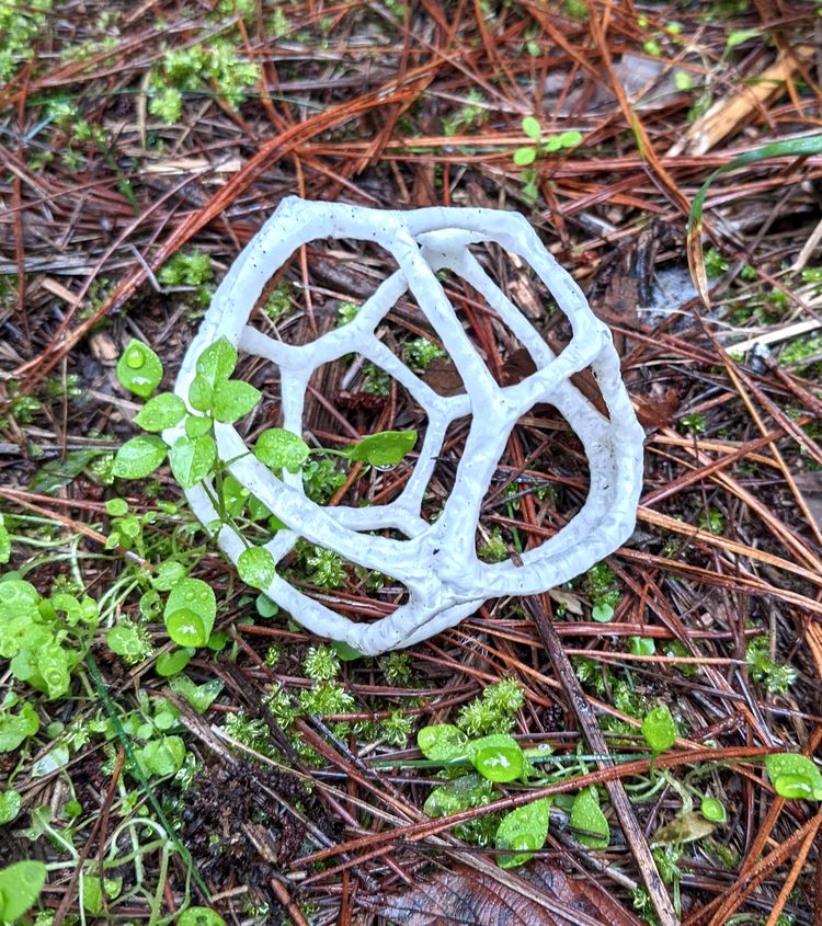 image-20221012152332-6