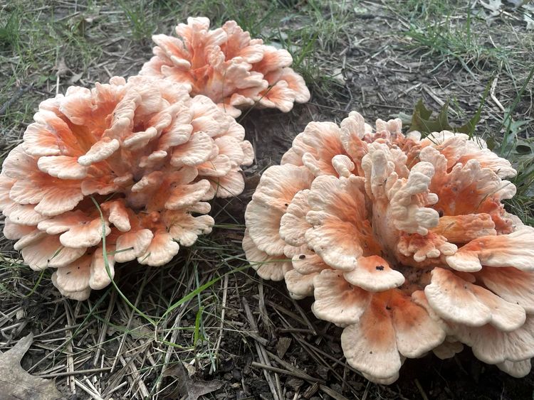 image-20221012152335-7