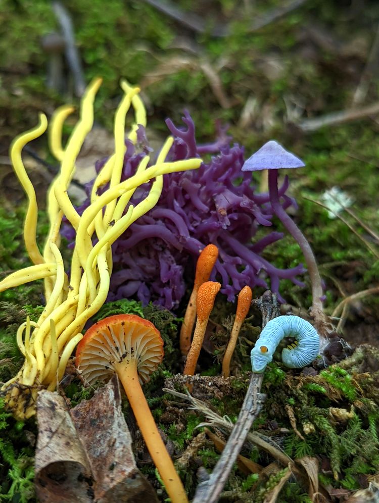 image-20221012152338-8