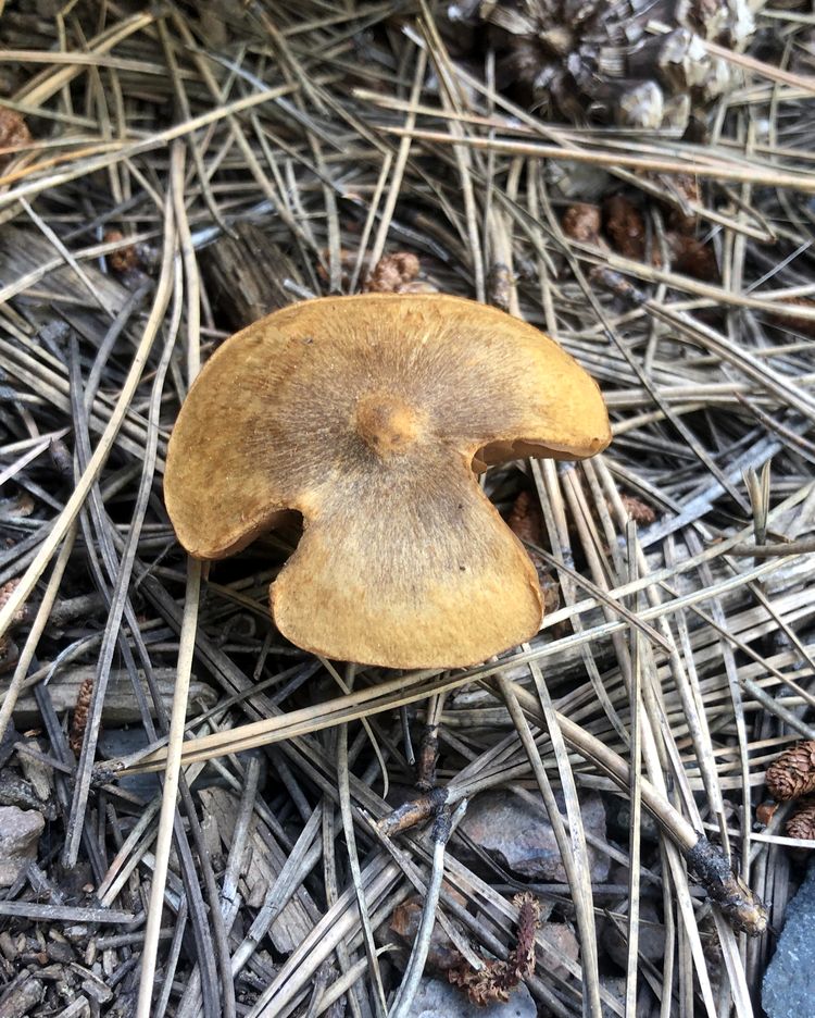 image-20221012152346-10