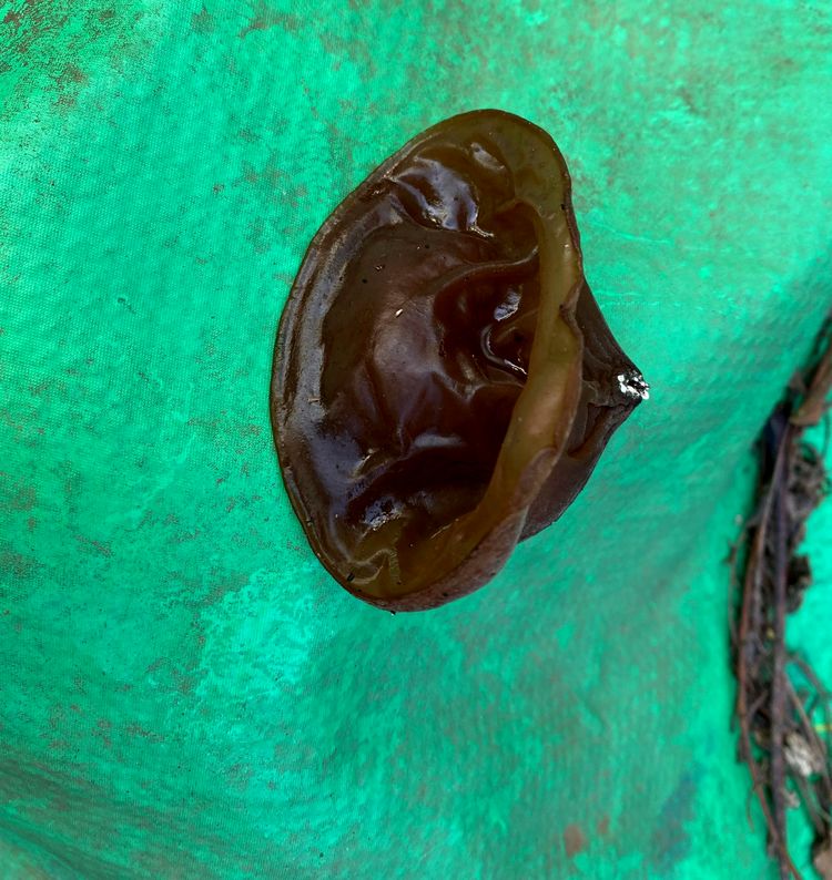 image-20221012152834-13