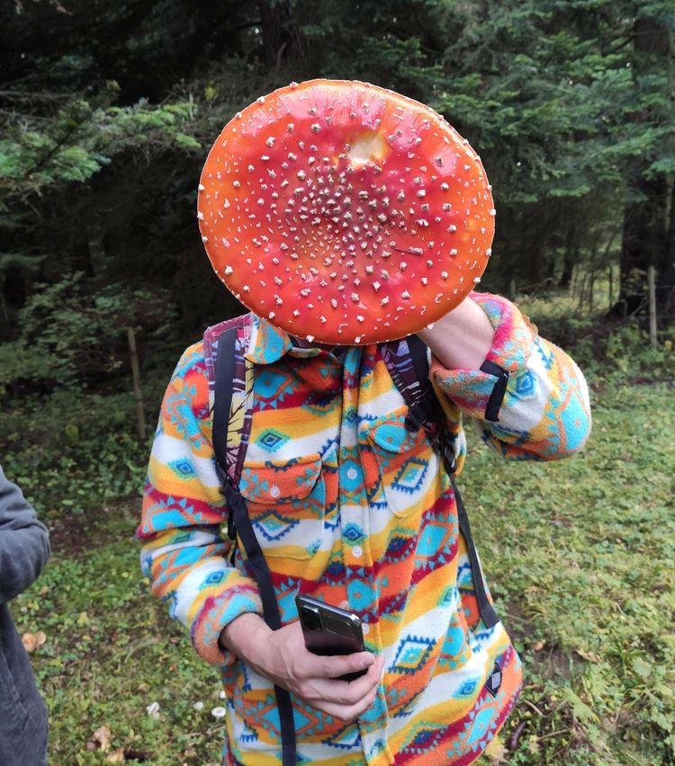 image-20221012152842-15