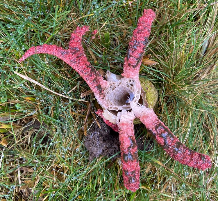 image-20221012152845-16