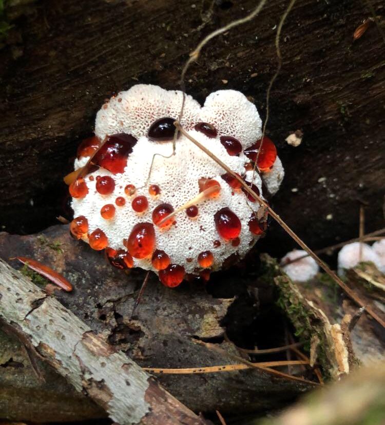 image-20221012152848-17