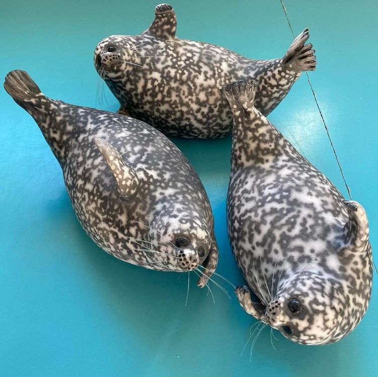 image-20221018145805-5