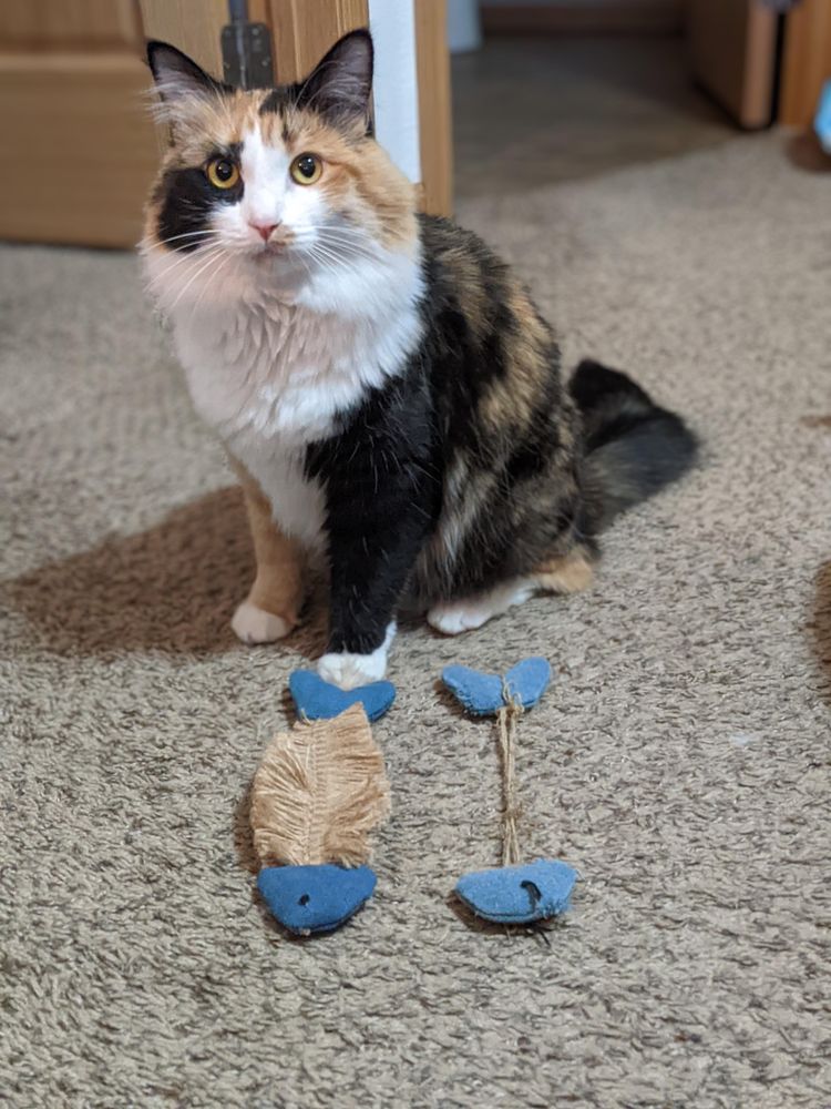 image-20221019110929-4