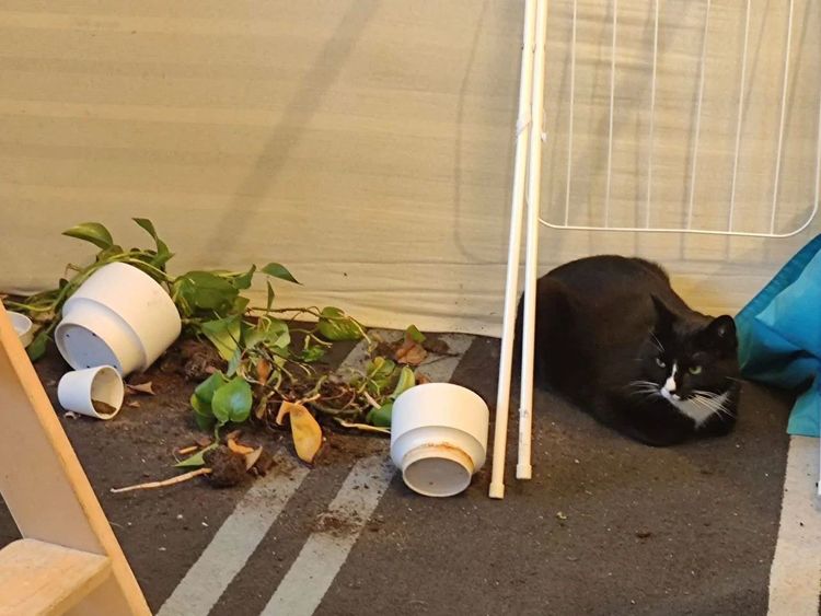 image-20221019162341-1