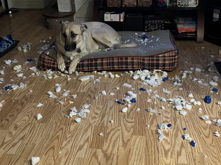 image-20221019162343-2