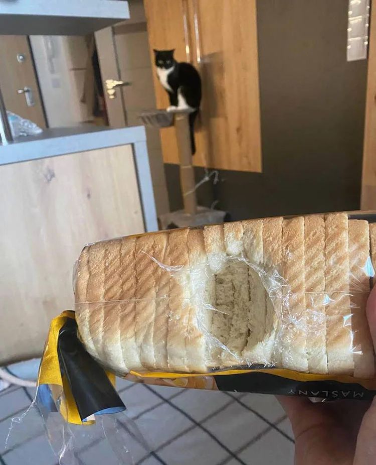 image-20221019162346-3