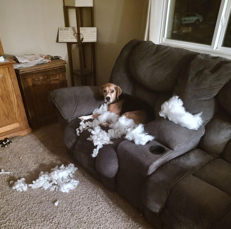 image-20221019162348-4