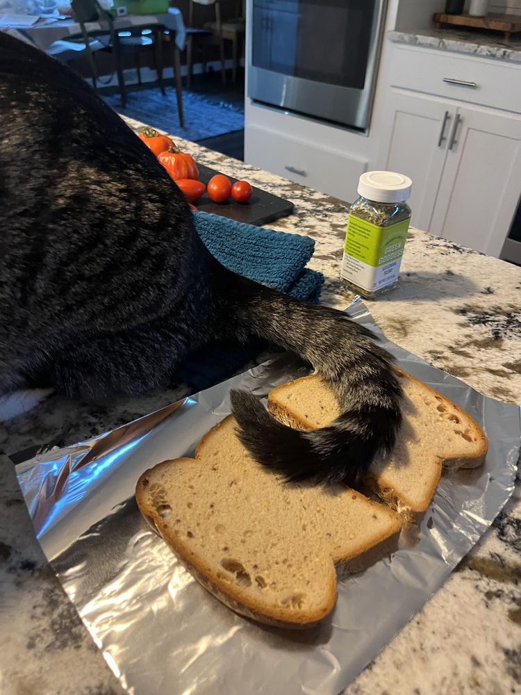 image-20221019162459-5