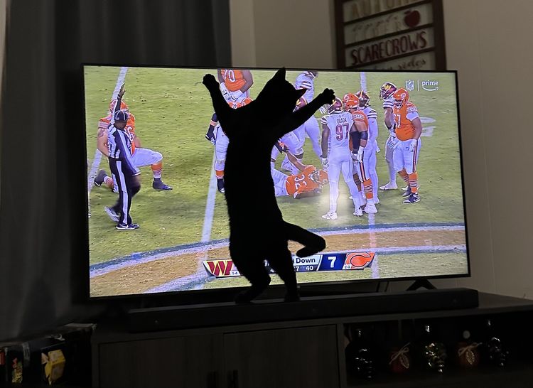 image-20221019162503-6