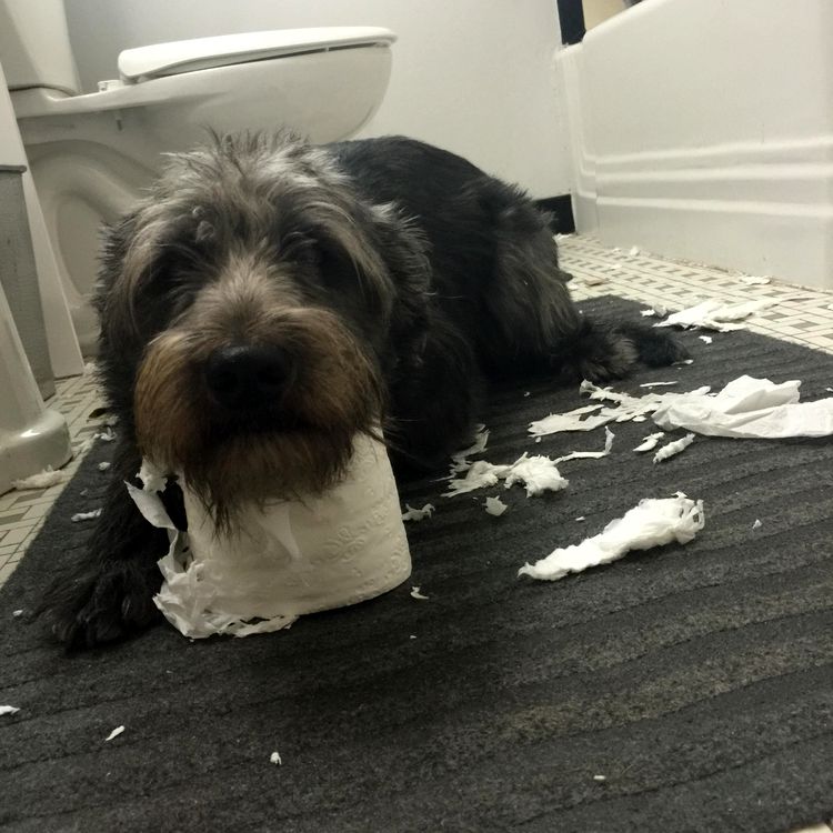 image-20221019162506-7