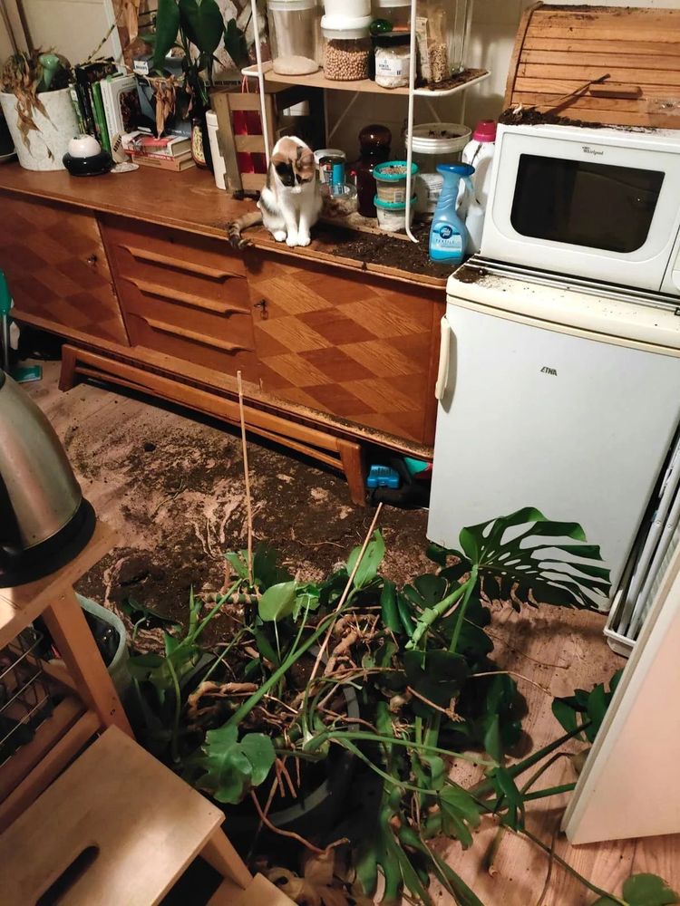 image-20221019162519-11