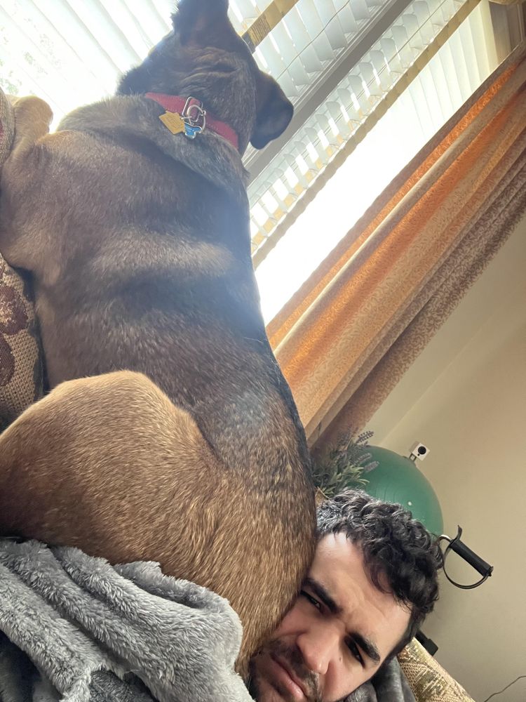 image-20221019162526-13