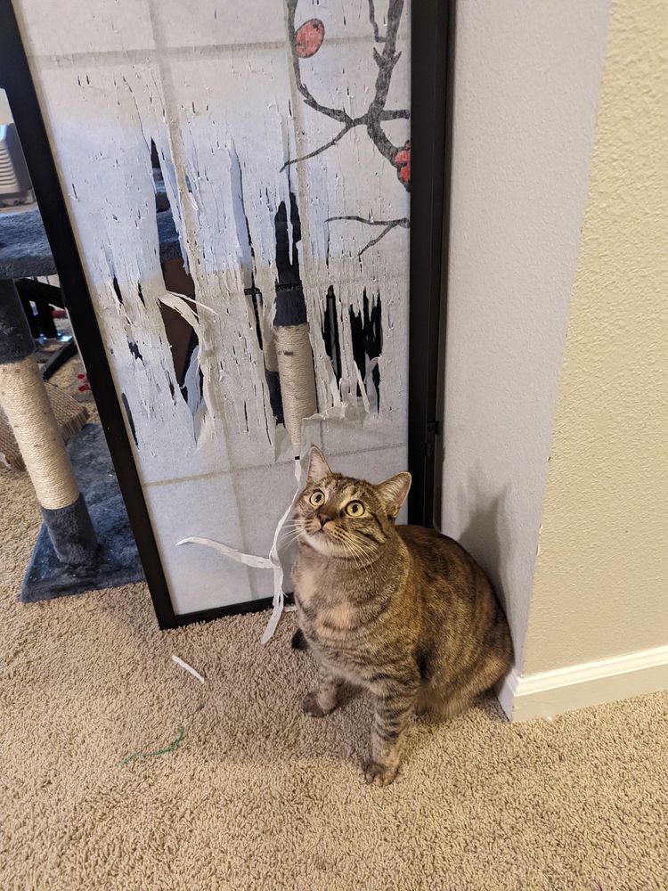 image-20221019162529-14