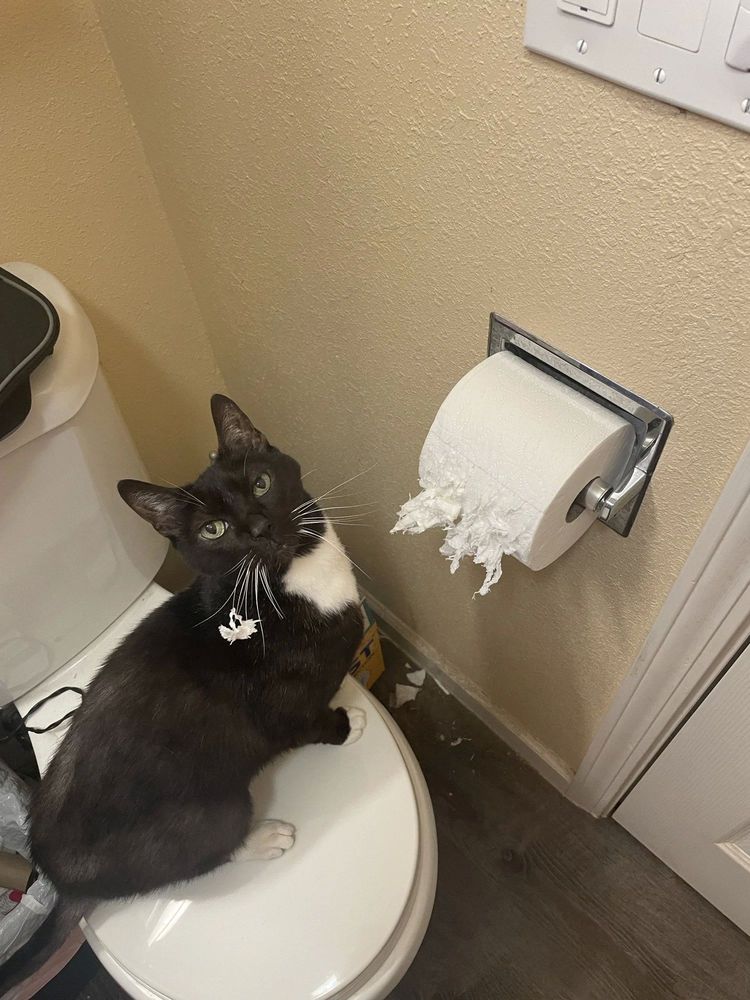 image-20221019162532-15