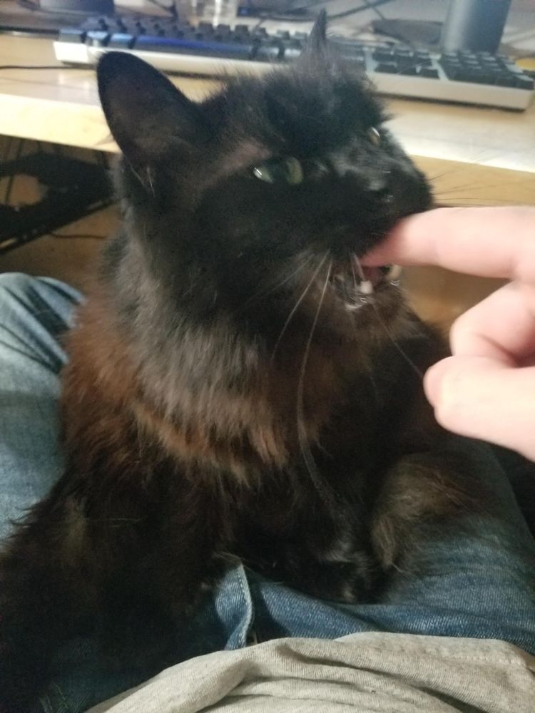 image-20221019162534-16