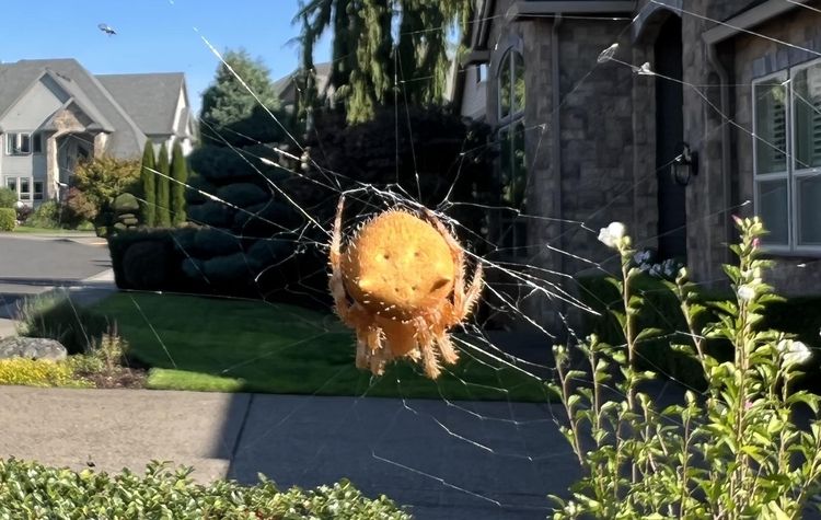 image-20221020191002-2