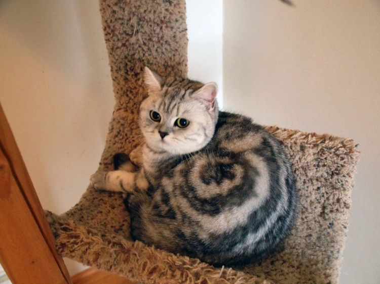 image-20221020191037-5