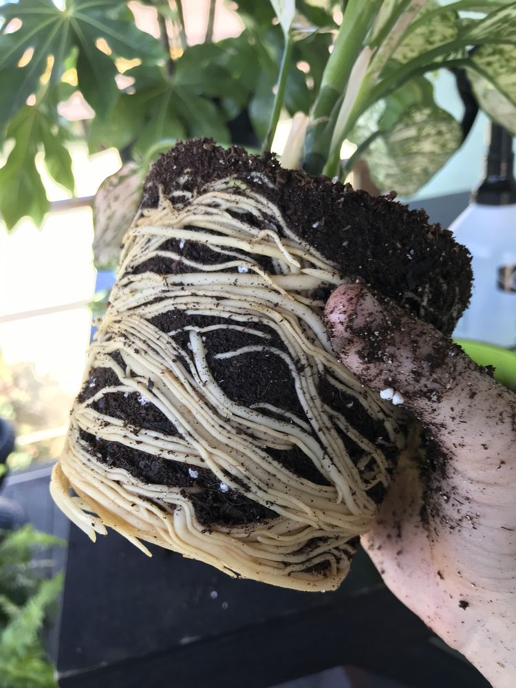 image-20221020191039-6