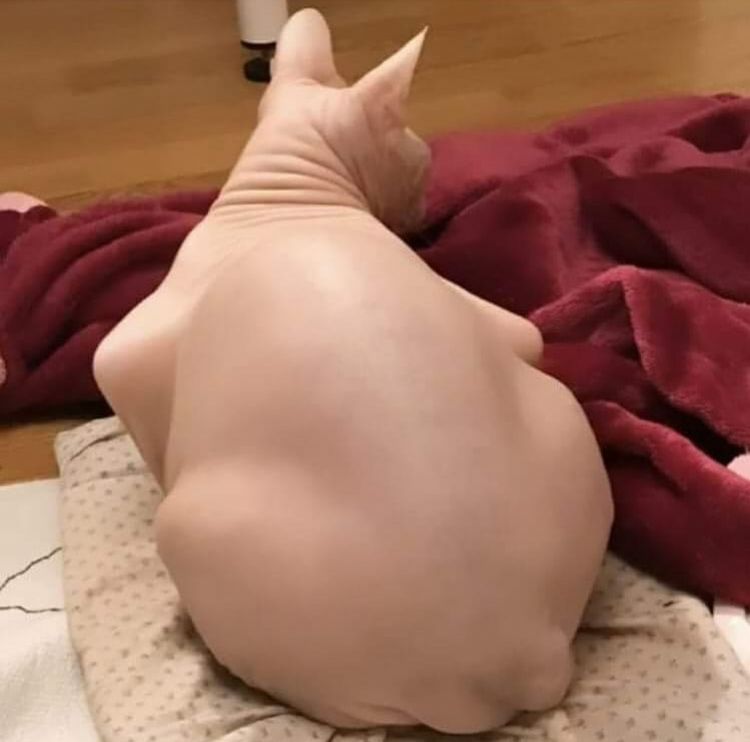 image-20221020191045-8