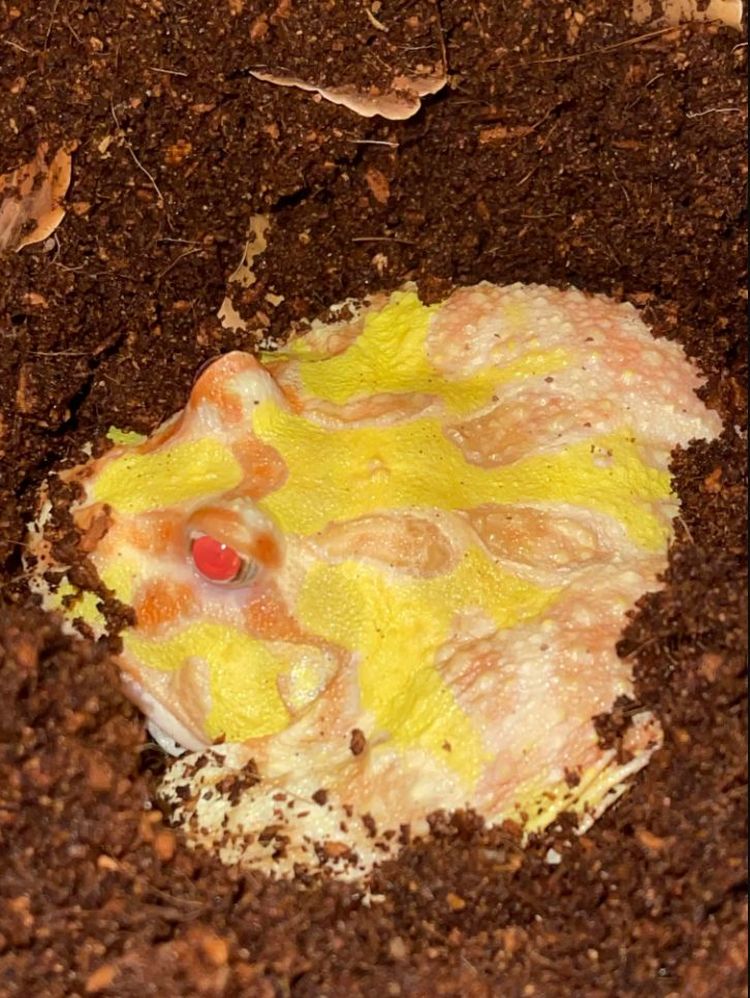 image-20221020191056-11