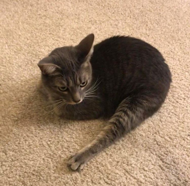 image-20221020191127-15