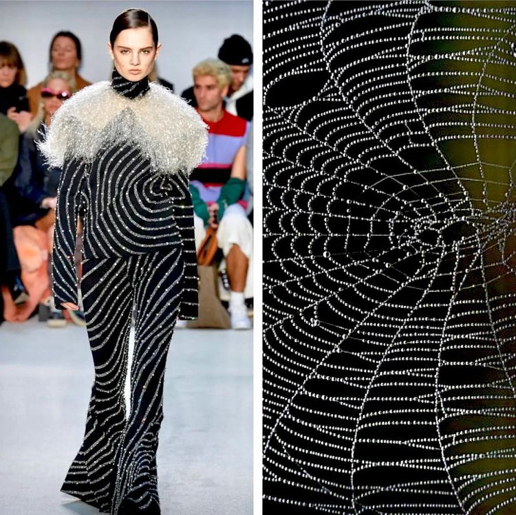 image-20221024211924-1