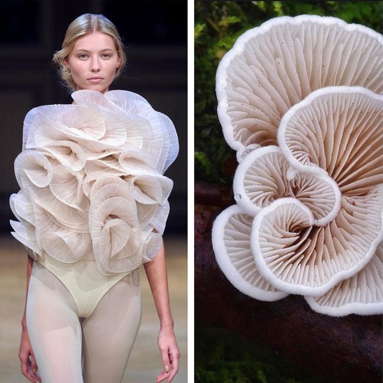 image-20221024211931-4