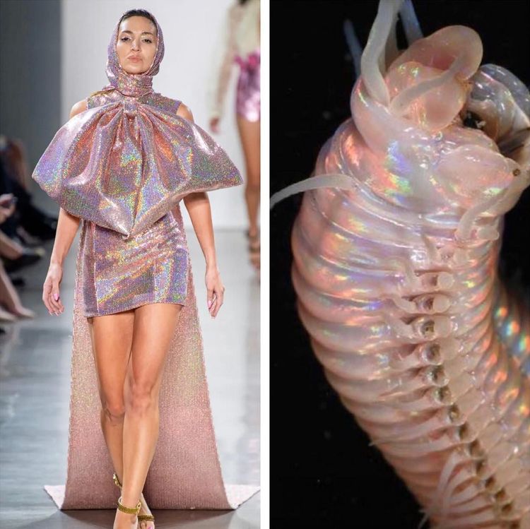 image-20221024212005-5